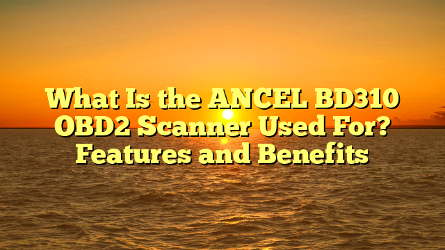 What Is the ANCEL BD310 OBD2 Scanner Used For? Features and Benefits